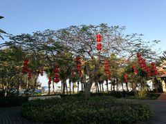 -中澳友谊花园