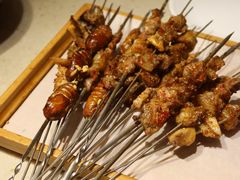 -万鑫鸡翅