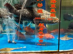 -惠食佳(滨江大公馆店)