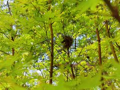 -上海交通大学(闵行校区)