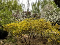 -元大都城垣遗址公园