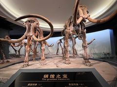 -大庆市博物馆