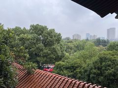 -开福禅寺