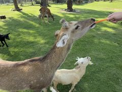 -东南花都花博园