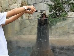 -哈尔滨波塞冬海底世界