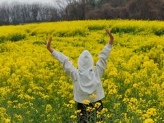 -三圣花乡旅游区