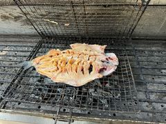 -途肴·老农饭庄(百里峡店)