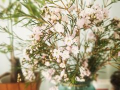 -盒马鲜生(龙德广场店)