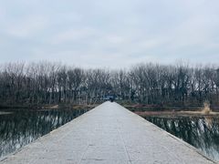 -西溪南古村落