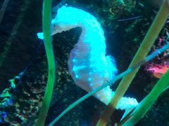 -沈阳海洋探索中心