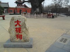 -大槐树寻根祭祖园
