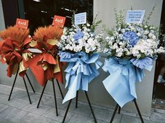 -极斗-IKMF马伽术·格斗运动学院(东直门店)