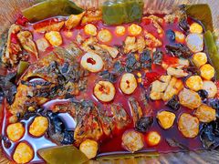 荔枝香辣-鱼酷活鱼烤鱼(中联广场店)