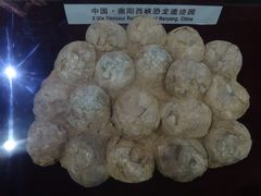 -中国西峡恐龙遗迹园