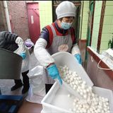 赵县：最后的手工元宵