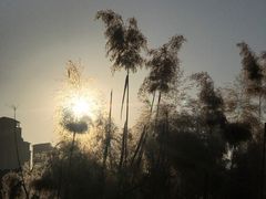 -西安汉城湖景区