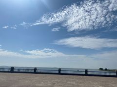 -合肥滨湖国家森林公园