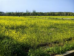 -嘉北郊野公园