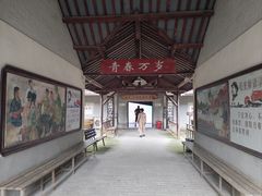 -大丰知青农场