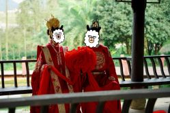 点击看大图 -金夫人婚纱摄影(总店)