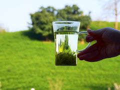 -帐篷客·溪龙茶谷度假酒店