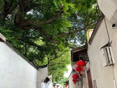 -三坊七巷历史文化街区