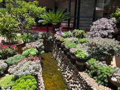 -山菌美食苑(振兴路店)