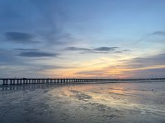 -宝安西湾红树林湿地公园