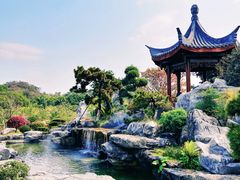 -东莞植物园