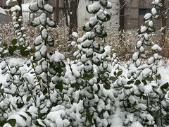 -中关村生命科学园