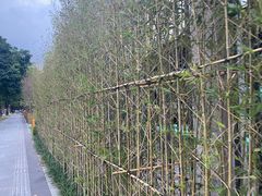 -百威年二手车市场(龙井路店)