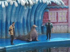 -华夏文旅海洋公园