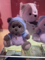 -TeddyTales莉娜熊(国贸店)