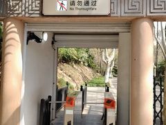 -灵谷景区