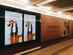 -大望路(地铁站)