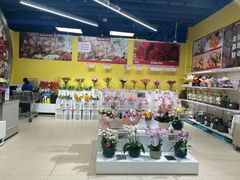 -盒马X会员店(上海森兰商都店)