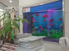 -雅悦齿科(顾村公园店)
