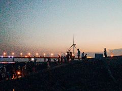 -南汇新城海滩