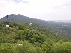 -紫金山天文台
