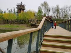 -东郊湿地公园