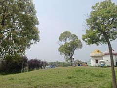 -上海都市菜园