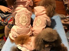 -爱宠屋pet shop·宠物洗澡·宠物美容