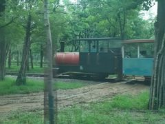 -秦皇岛野生动物园