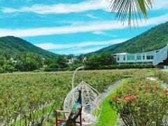 -亚龙湾国际玫瑰谷