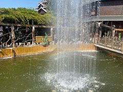 -呀路古热带植物园