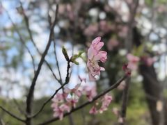 -求水山公园