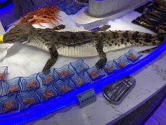 -澜悦港海鲜体验主题餐厅