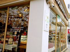 门面-卡滋贝诺动物奶油生日蛋糕(亚太潮尚店)