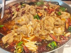 -佶政筋饼·新概念(安阳路店)