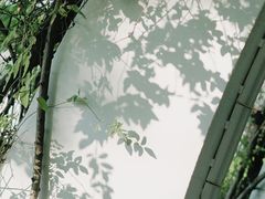 -文华公园(禅城区)